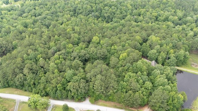 12558 Middle Creek Dr, Coker, AL 34552 - photo 40
