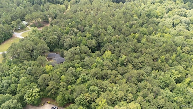 12558 Middle Creek Dr, Coker, AL 34552 - photo 44
