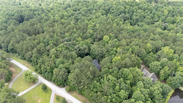 12558 Middle Creek Dr, Coker, AL 34552 - photo 41