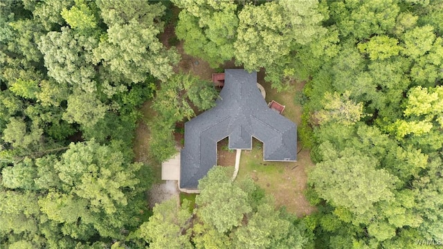 12558 Middle Creek Dr, Coker, AL 34552 - photo 39