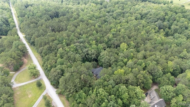 12558 Middle Creek Dr, Coker, AL 34552 - photo 42