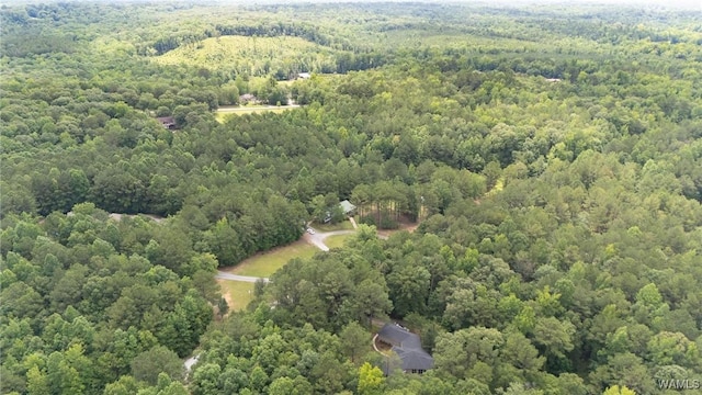12558 Middle Creek Dr, Coker, AL 34552 - photo 43