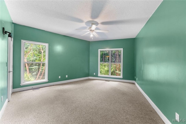 12558 Middle Creek Dr, Coker, AL 34552 - photo 22
