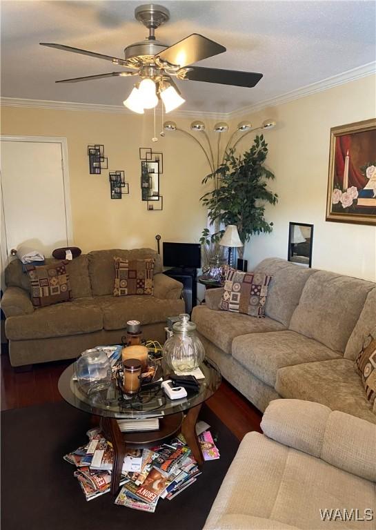 living area featuring ceiling fan, crown molding, and wood finished floors