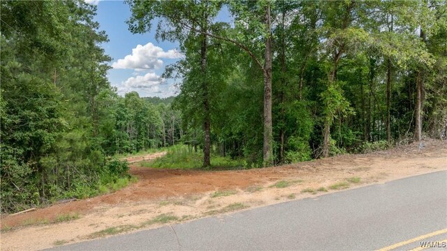 1 Brant Ward Rd, Cottondale, AL 35453 - photo 12