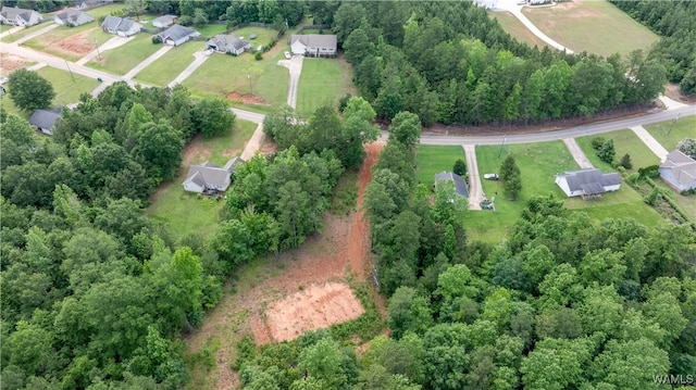 1 Brant Ward Rd, Cottondale, AL 35453 - photo 4