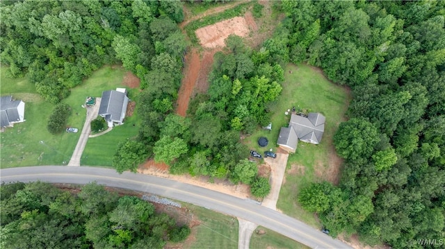 1 Brant Ward Rd, Cottondale, AL 35453 - photo 8