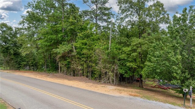 1 Brant Ward Rd, Cottondale, AL 35453 - photo 11