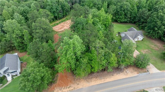 1 Brant Ward Rd, Cottondale, AL 35453 - photo 10