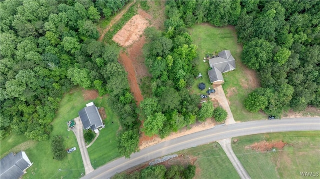 1 Brant Ward Rd, Cottondale, AL 35453 - photo 1