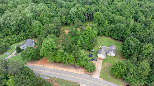 1 Brant Ward Rd, Cottondale, AL 35453 - photo 3