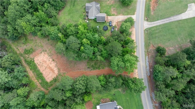 1 Brant Ward Rd, Cottondale, AL 35453 - photo 7