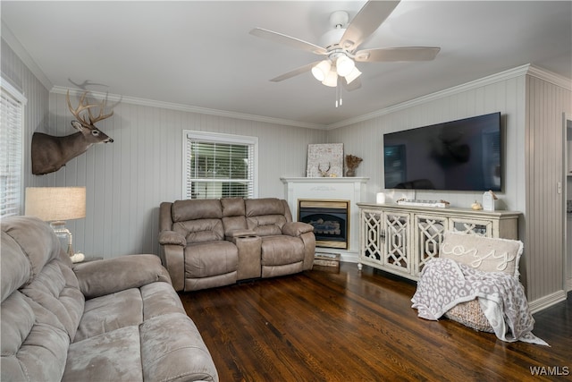 living room with crown molding, dark hardwood / wood-style flooring, and ceiling fan