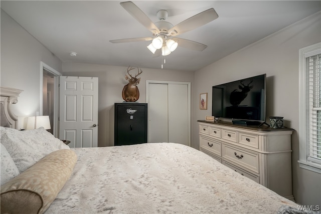 bedroom with a closet and ceiling fan