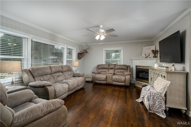 living room with a wealth of natural light, ceiling fan, dark hardwood / wood-style floors, and ornamental molding