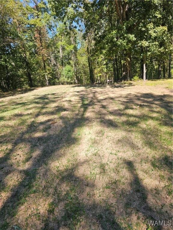11840 N Scottsville Rd, West Blocton, AL 35184 - photo 5