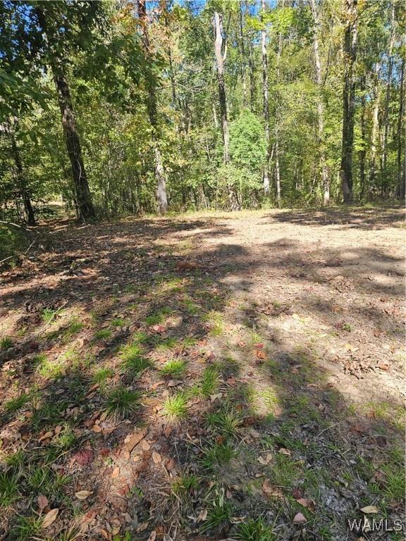 11840 N Scottsville Rd, West Blocton, AL 35184 - photo 4