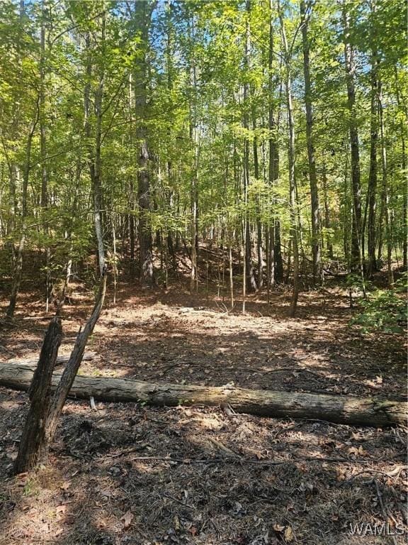 11840 N Scottsville Rd, West Blocton, AL 35184 - photo 2