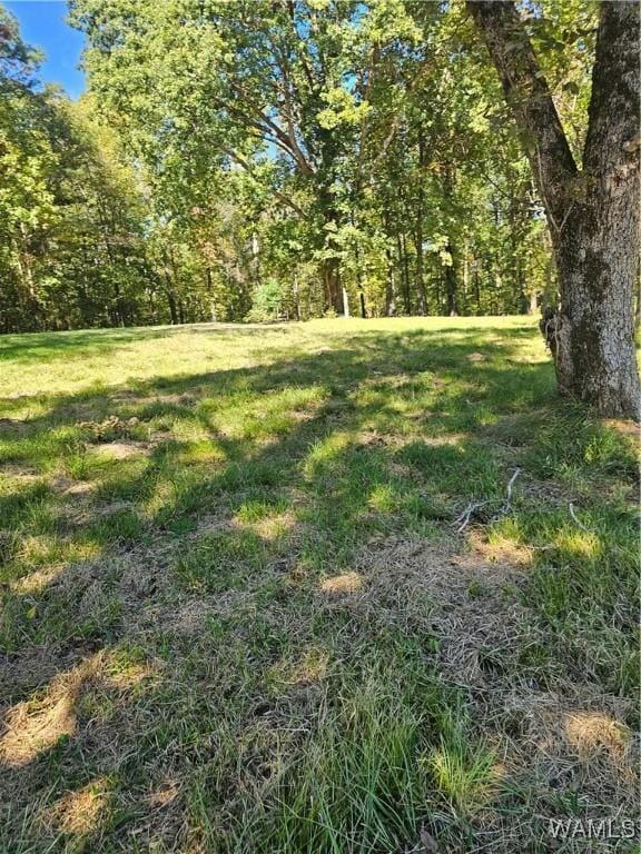 11840 N Scottsville Rd, West Blocton, AL 35184 - photo 6