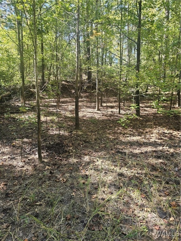 Listing photo 3 for 11840 N Scottsville Rd, West Blocton AL 35184