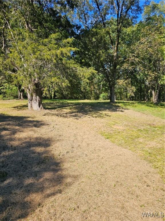 11840 N Scottsville Rd, West Blocton, AL 35184 - photo 7