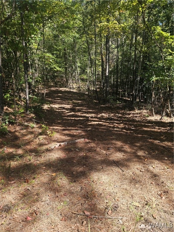 11840 N Scottsville Rd, West Blocton AL, 35184 land for sale