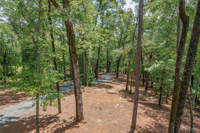 14817 Highpoint Cv, Northport, AL 35475 - photo 45