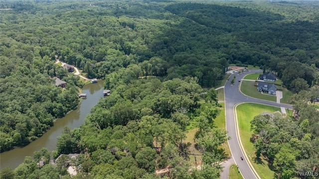 14817 Highpoint Cv, Northport, AL 35475 - aerial view of property's location with a heavily wooded area and a large body of water