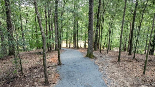 14817 Highpoint Cv, Northport, AL 35475 - view of home's community featuring a forest view