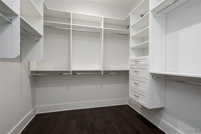 14817 Highpoint Cv, Northport, AL 35475 - spacious closet featuring dark wood-type flooring
