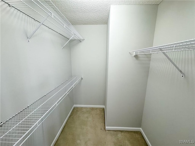 walk in closet with light colored carpet