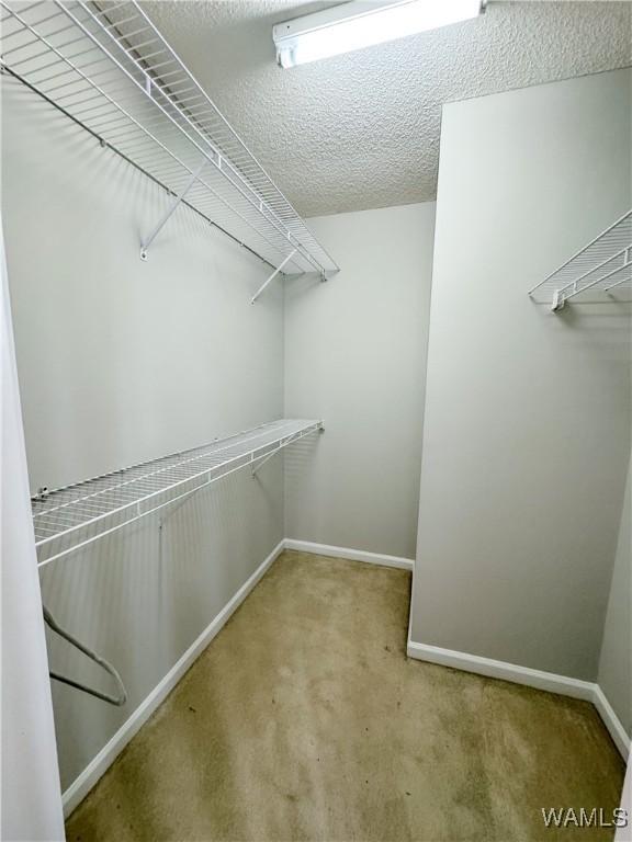 spacious closet featuring carpet