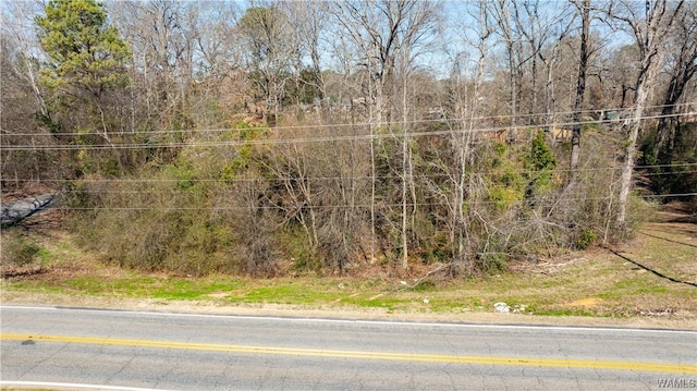 1031 54th Ave E, Tuscaloosa, AL 35404 - photo 2