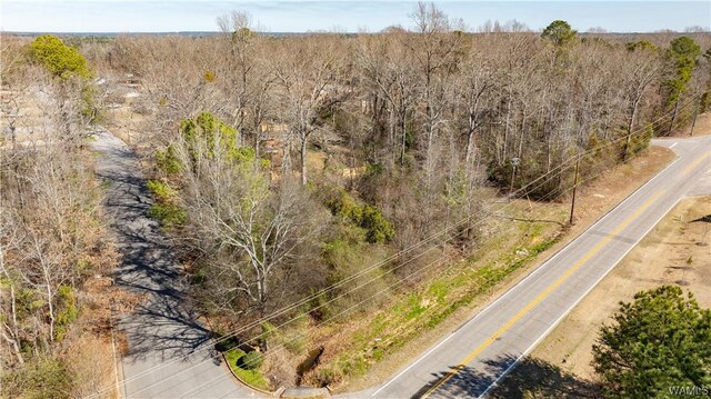 1031 54th Ave E, Tuscaloosa, AL 35404 - photo 4