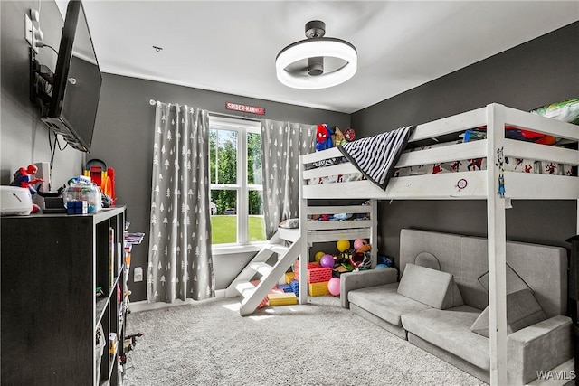 17631 Hayes Rd, Northport, AL 35475 - view of carpeted bedroom
