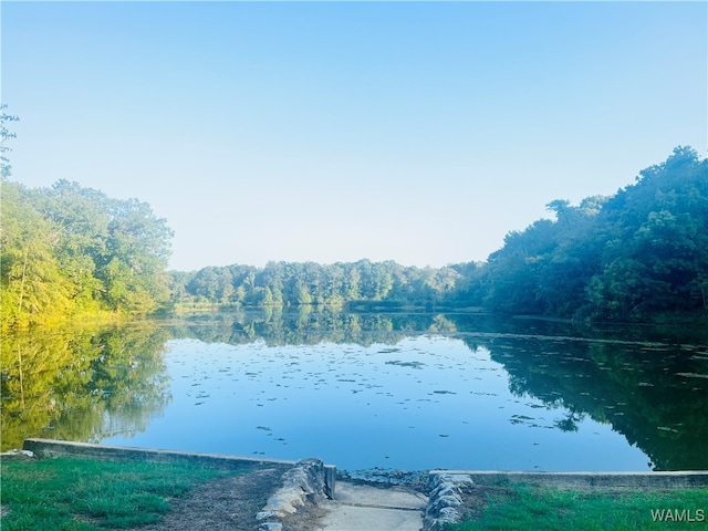 property view of water