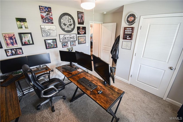 13946 Sullivan Blvd, Northport, AL 35475 - home office featuring carpet floors and baseboards