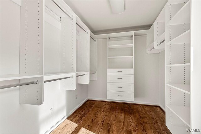 walk in closet with dark wood-type flooring