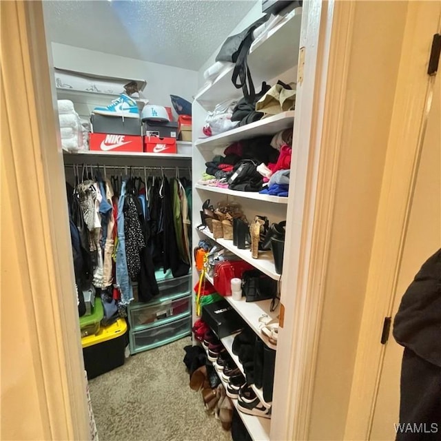 6400 Plantation Ct, Tuscaloosa, AL 35405 - spacious closet with carpet flooring
