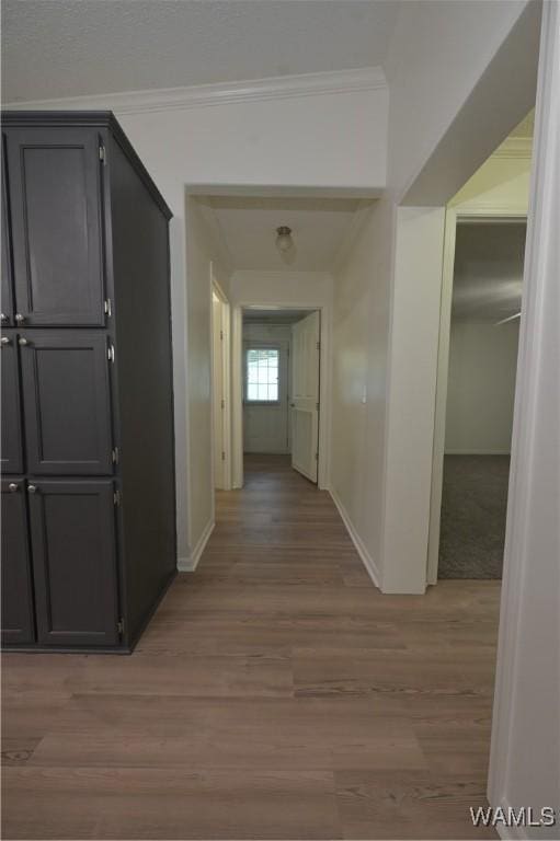 14559 Lonnie Shirley Rd, Northport, AL 35475 - photo 59