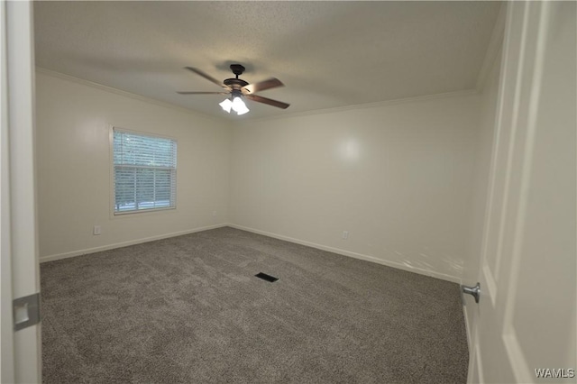 14559 Lonnie Shirley Rd, Northport, AL 35475 - photo 65