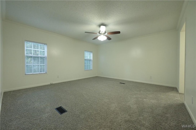 14559 Lonnie Shirley Rd, Northport, AL 35475 - photo 22