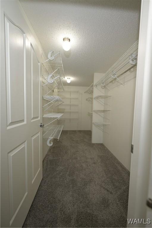 14559 Lonnie Shirley Rd, Northport, AL 35475 - photo 27
