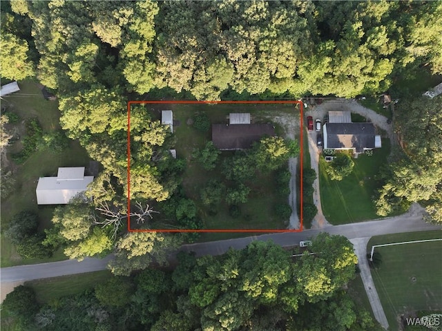 14559 Lonnie Shirley Rd, Northport, AL 35475 - photo 20