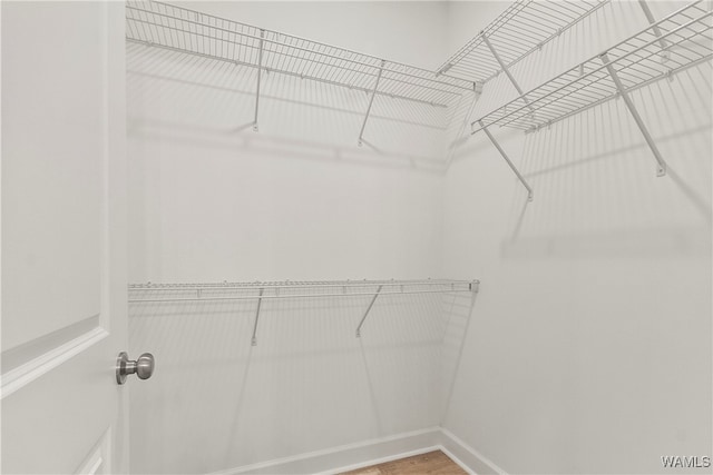 spacious closet featuring hardwood / wood-style floors