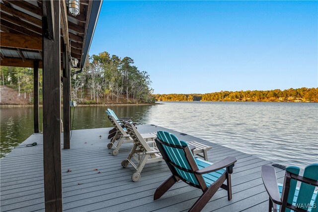 dock area with a water view