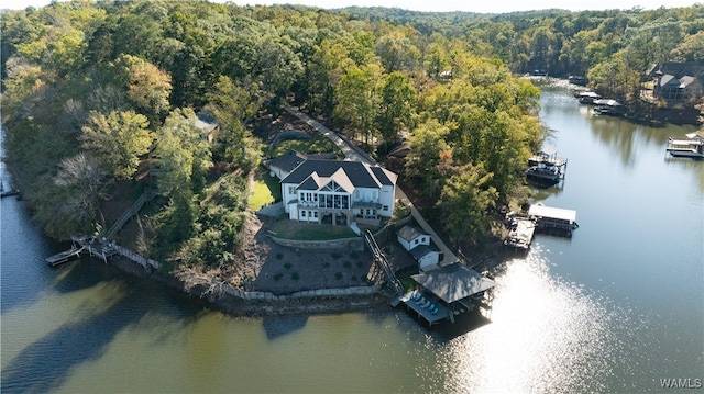 aerial view with a water view