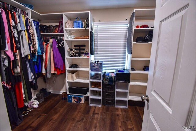 3207 33rd St, Northport, AL 35476 - spacious closet featuring wood finished floors
