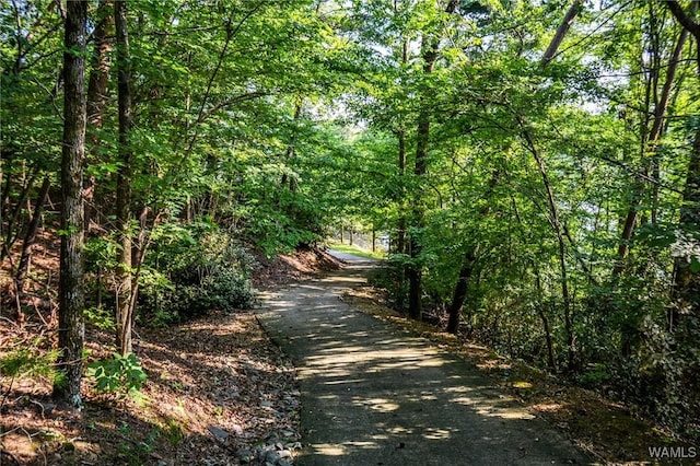 2940 Lake Crest Dr, Tuscaloosa, AL 35406 - view of street featuring a forest view