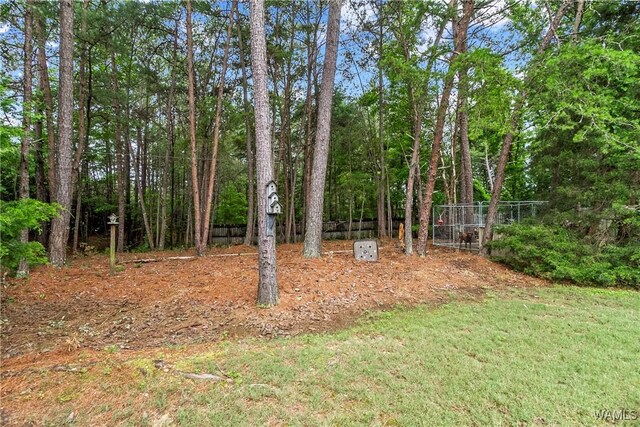 2940 Lake Crest Dr, Tuscaloosa, AL 35406 - view of yard